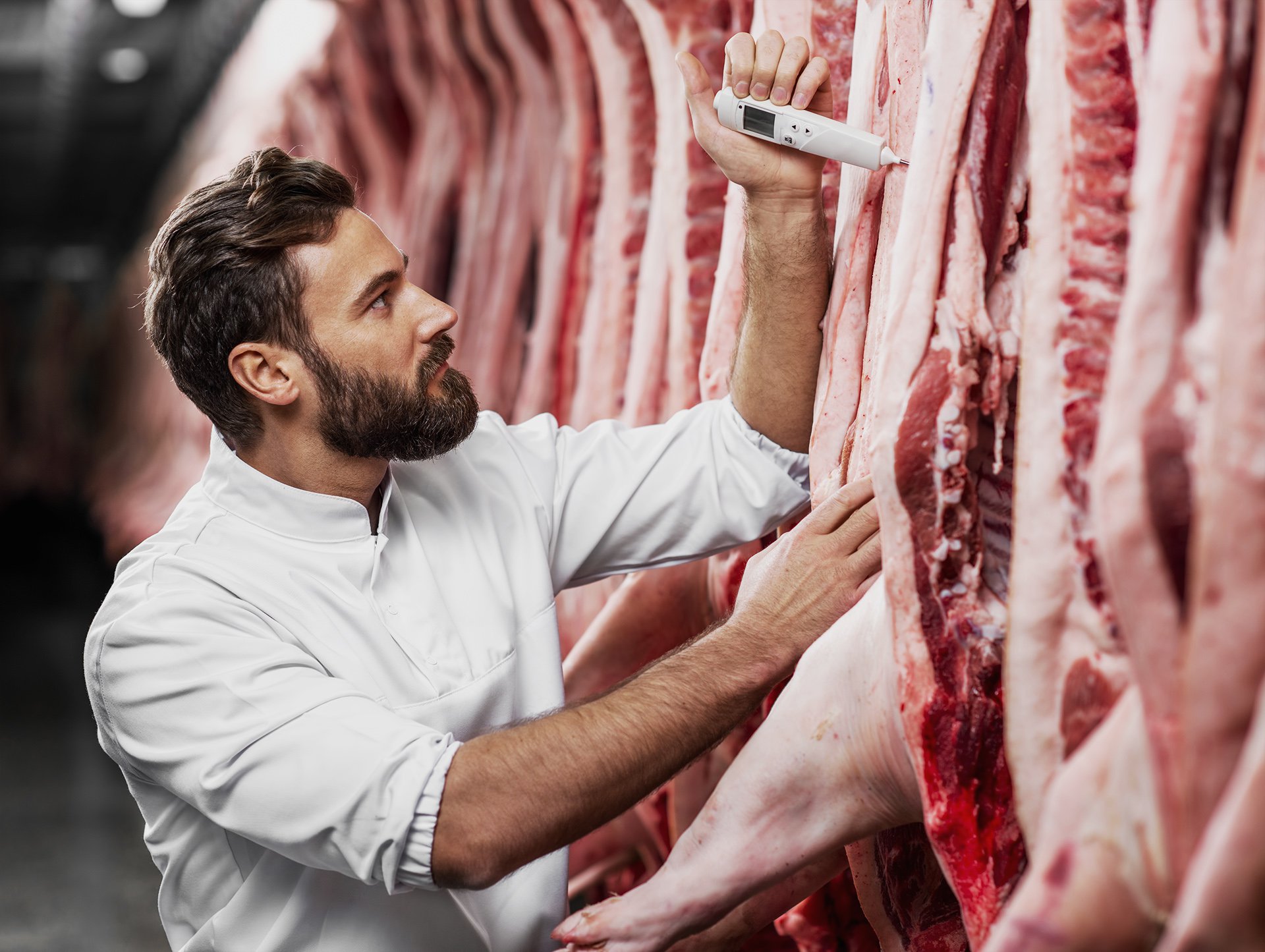 Puro Boi - Qualidade